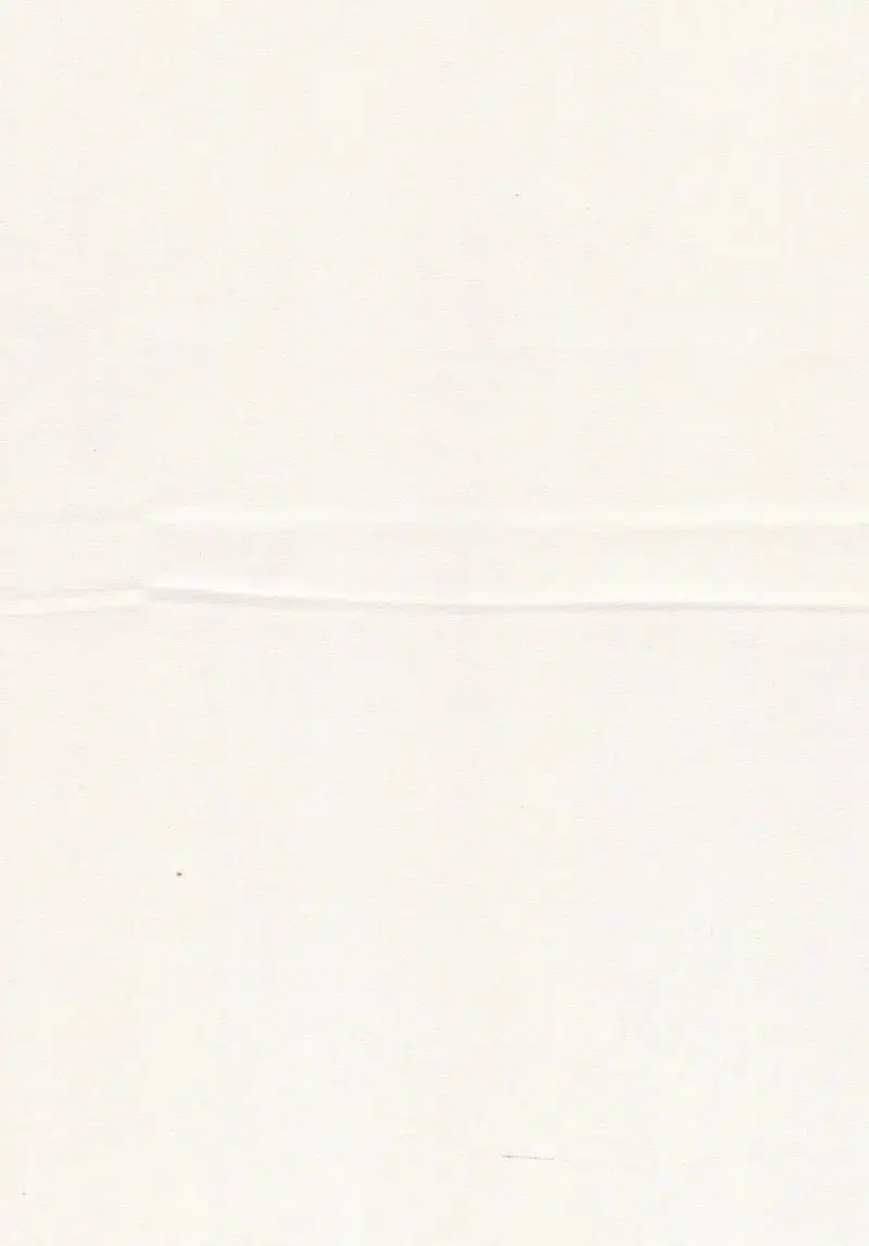 batista bati scaled.jpg
